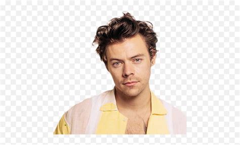 Harry Styles Png Images Harry Styles Png Harry Styles Png Free