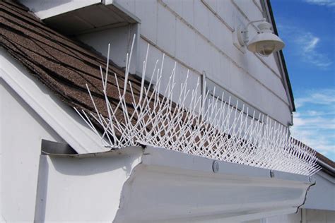 There are a number tochoosefrom but myfavoriteis the double uni knot. How to Get Rid of Birds in Your Backyard | Keep Birds Away