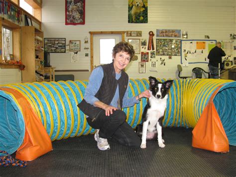 Puppy Play Games - Paws-itively Obedient