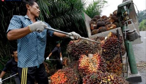 Kirim nama panggilan lucu anda dan gamertag keren dan salin yang terbaik dari daftar. RM3000 Sebulan, Kerja Ladang Kini Tawarkan Gaji Lumayan ...