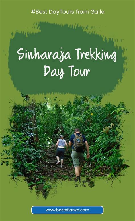 Sinharaja Trekking Day Tour Day Tours Day Trips Trekking Tour
