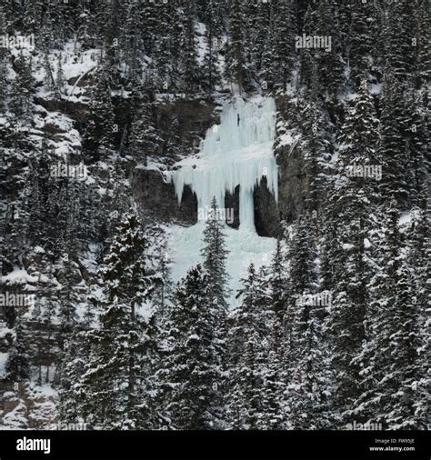 Snow Covered Trees With Frozen Waterfall Lake Louise Banff National