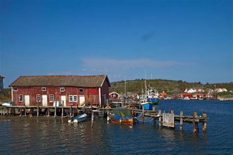 Koster Islands A Lively Archipelago Travel With All Senses