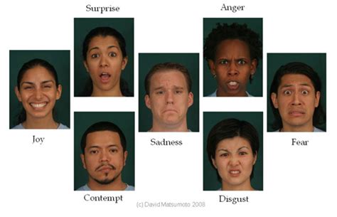 Seven Basic Emotions Reading Facial Expression Humintell