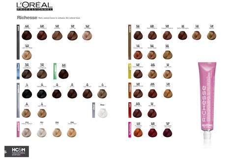 L Or Al Professionnel Richesse Color Chart Hair Color Chart Loreal