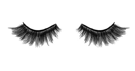 Cartoon Eyelashes Png Pic Png All Png All