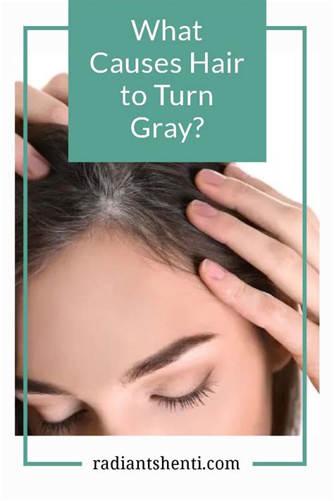 What Causes Hair To Turn Gray Artofit