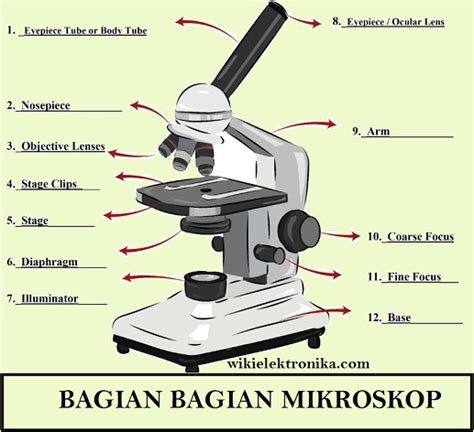√ Gambar Bagian Bagian Mikroskop Dan Fungsinya