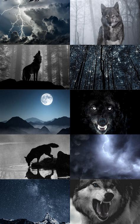 Request Wolves Night Sky And Storms Aesthetic X Magic Aesthetic
