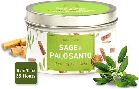 Amazon Palo Santo And Sage Aromatherapy Candle In Luxurious 8oz