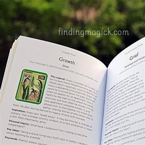 I have been doing readings for many years. Chakra Wisdom Oracle Cards by Tori Hartman Review ...