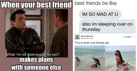 best friend vs friend meme