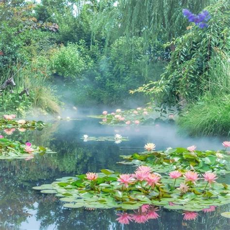Pin By Almondmurlk On • Secret Garden • Nature Aesthetic Beautiful