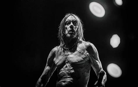 Listen To Iggy Pop S Raw New Song Frenzy
