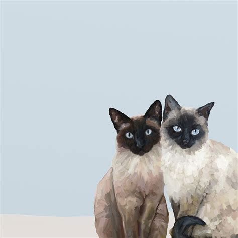 Feline Friends Siamese Cat Duo Canvas Wall Art 14x14 Ivystone