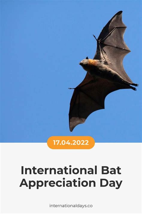 International Bat Appreciation Day Wildlife Day Bat Conservation