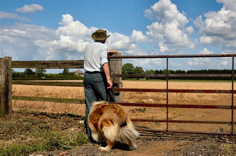 Farmer And Dog Free Photo Download Freeimages