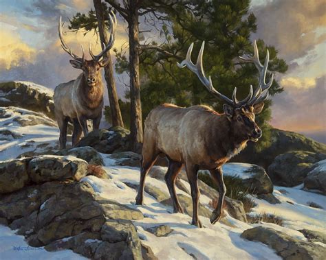 Deer Realistic Oil Painting By Dustin Van Wechel Hunting Art