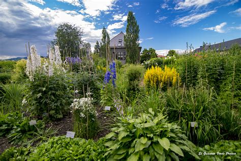 Tøyenparken) is a park in oslo, norway. Oslo, del Jardín Botánico de Tøyen a los rosales de ...
