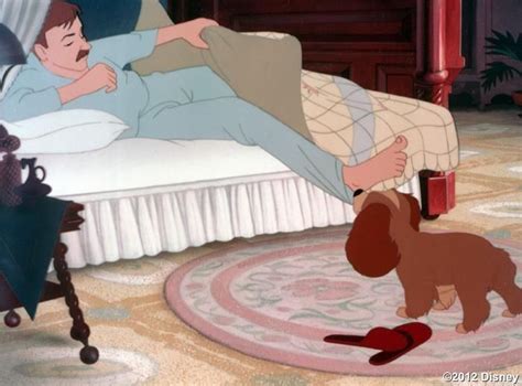 Did You Ever Wonder What Jim Dear And Darling From Lady And The Tramp