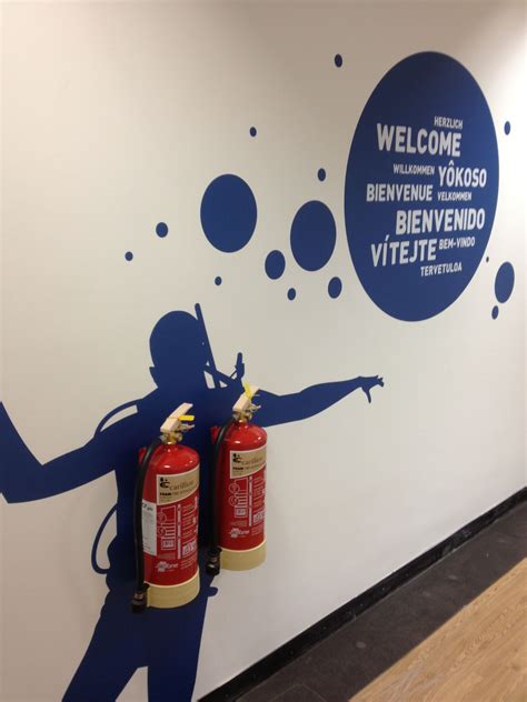 Environmental Graphics Are A Great Way To Create A Fun And Inspiring