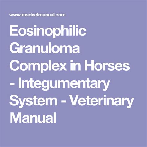 Eosinophilic Granuloma Complex In Horses Integumentary System