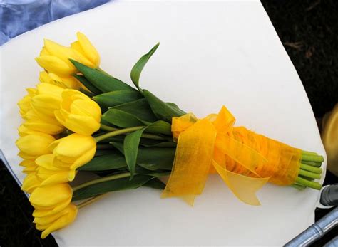 Tulipanes En Color Amarillo Que Demuestran Energiafelicidad