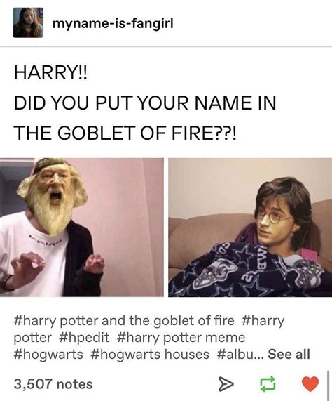 Dumbledore Asks Calmly Harry Potter Funny Harry Potter Fanfiction
