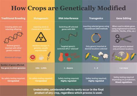Top GMO Myths And The Truth Behind The Information You Ve Been Fed AGDAILY