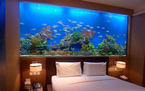 Fish Tank In Bedroom Placement Ideas And Is It Recommended