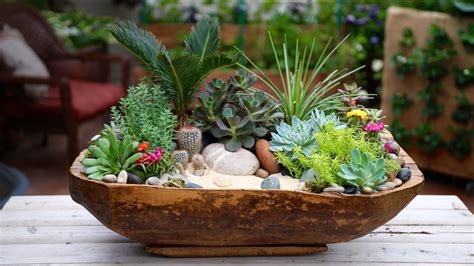 Also, try to use the other items such as unused ceramic bowls as the pot. cactus planter bowl