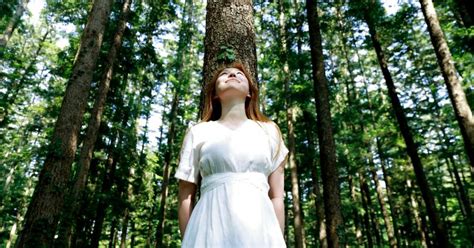 How Japanese Forest Bathing Technique Can Help Ease Mental Health