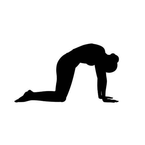 Check spelling or type a new query. YOGA DECOR (Pose Decals) Yoga Poses, Yoga Pose Silhouette ...