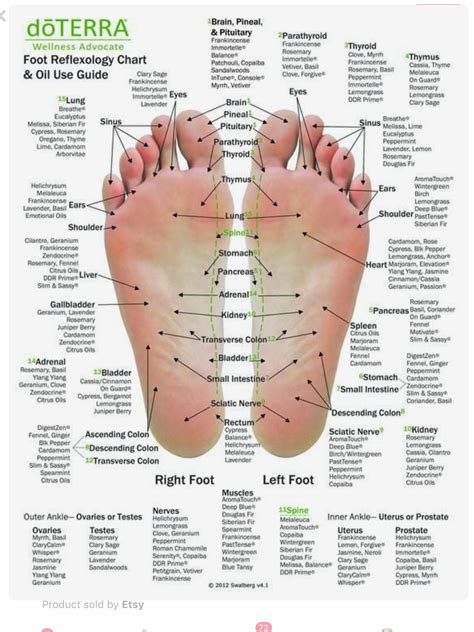 Reflexology Chart Foot Reflexology Chart Hand Reflexology Chart Images And Photos Finder
