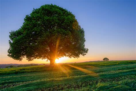 We did not find results for: Фотография Лучи света Бавария Германия Schonau Природа ...