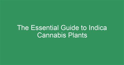 The Essential Guide To Indica Cannabis Plants Understanding Its Growth