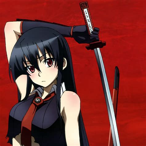 Akame Ga Kill Katana 1024 X 1024 Ipad Wallpaper