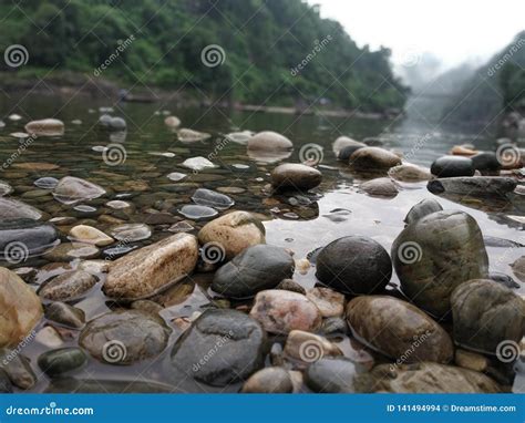 Pebbles In The River Stock Photo Image Of Crystal Pebbles 141494994