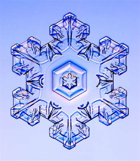 Snowflakes Under The Microscope Snowflakes Real Snowflakes Snow Crystal