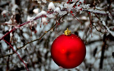 Red Holiday Ornament Hanging In A Snow Covered Bush