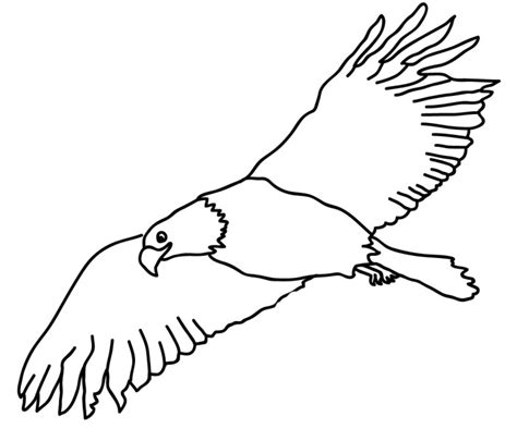 Golden Eagle Drawing Free Download On Clipartmag
