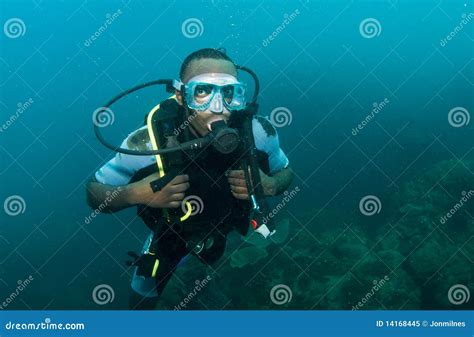 Male Scuba Diver Royalty Free Stock Photo Image 14168445
