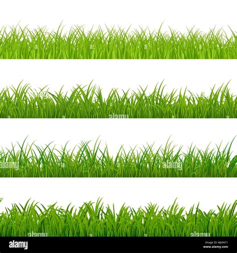Perfecta hierba gorisontal frontera Patrón de panorama de hierbas