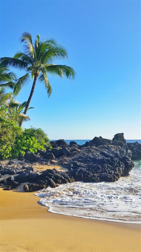 Path To Hidden Makena Cove Beach Aka Secret Cove In Maui 🌴 Hawaii