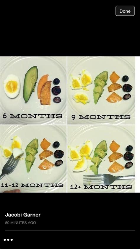 She has also tried hummus (loved it!), mashed lentils, chicken, scrambled eggs, strawberry, raspberry (that was a seriously messy one), small slices of my favorite protein pancake. Baby led weaning size to age chart | Baby led weaning ...