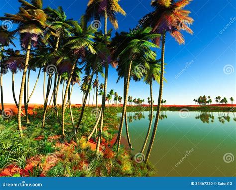African Oasis Stock Photo Image Of Exotic Oasis Landscape 34467220