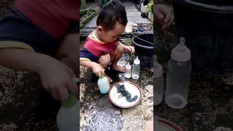 Berikut beberapa manfaat dan pentingya mengajarkan anak untuk membantu orang tua dalam mengarjakan pekerjaaan rumah LUCU BANGET ,,ANAK KECIL 3 THUN SUDAH BISA MEMBANTU ORANG TUA !!!!!!!! - YouTube