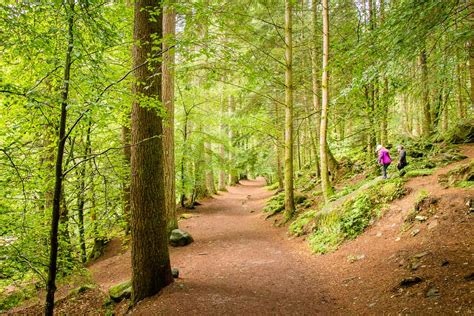 The Hermitage Woodland Walk in Tay Forest Park - Family Can Travel