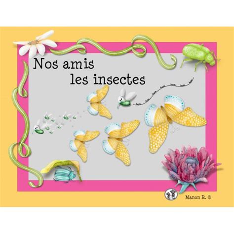Nos Amis Les Insectes French Immersion French Language Primary School