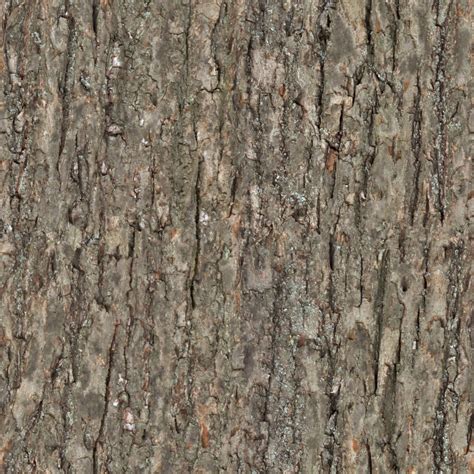 High Resolution Seamless Textures Wood Tree Bark Seamless Texture